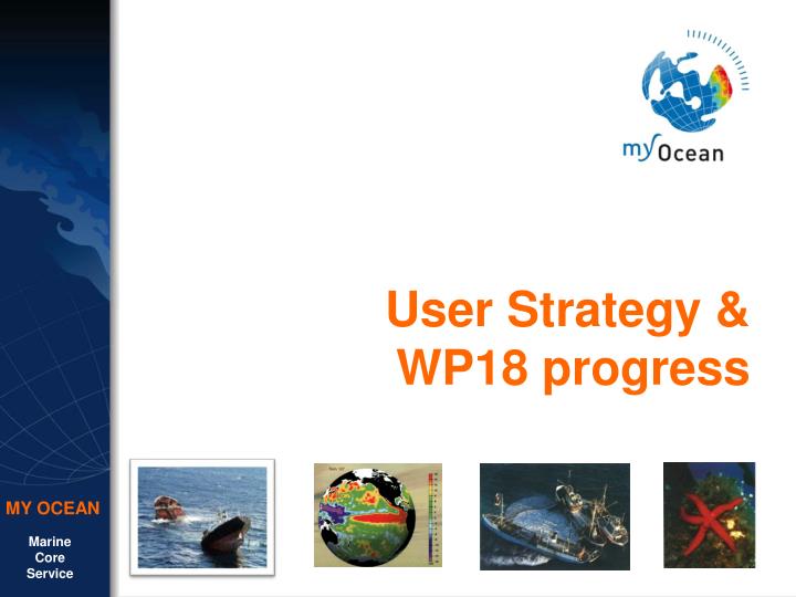 user strategy wp18 progress