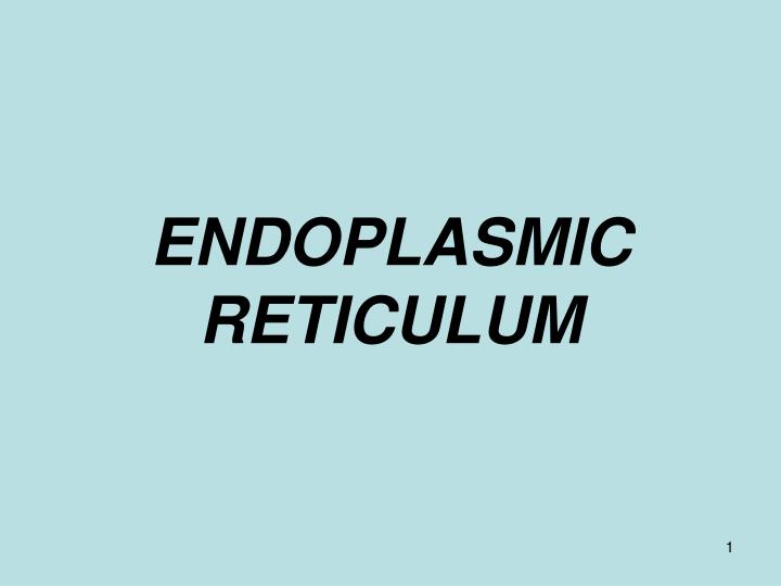 endoplasmic reticulum