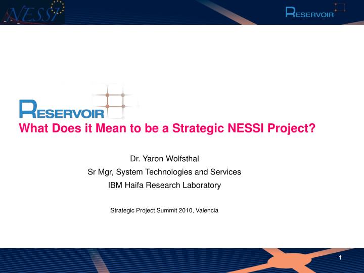 what does it mean to be a strategic nessi project