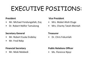 EXECUTIVE POSITIONS: