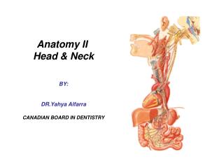 Anatomy II Head &amp; Neck BY: DR.Yahya Alfarra CANADIAN BOARD IN DENTISTRY