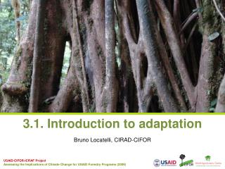 3.1. Introduction to adaptation