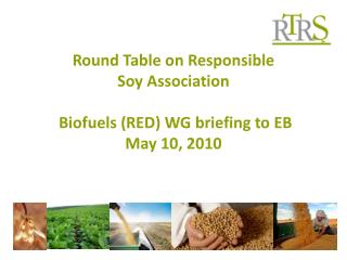 Round Table on Responsible Soy Association Biofuels (RED) WG briefing to EB May 10, 2010