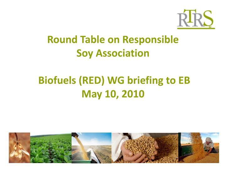 round table on responsible soy association biofuels red wg briefing to eb may 10 2010