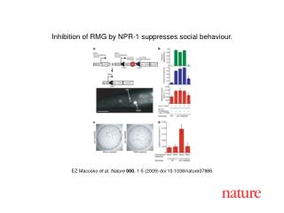 EZ Macosko et al. Nature 000 , 1-5 (2009) doi:10.1038/nature07886