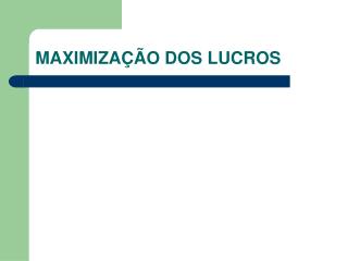 maximiza o dos lucros