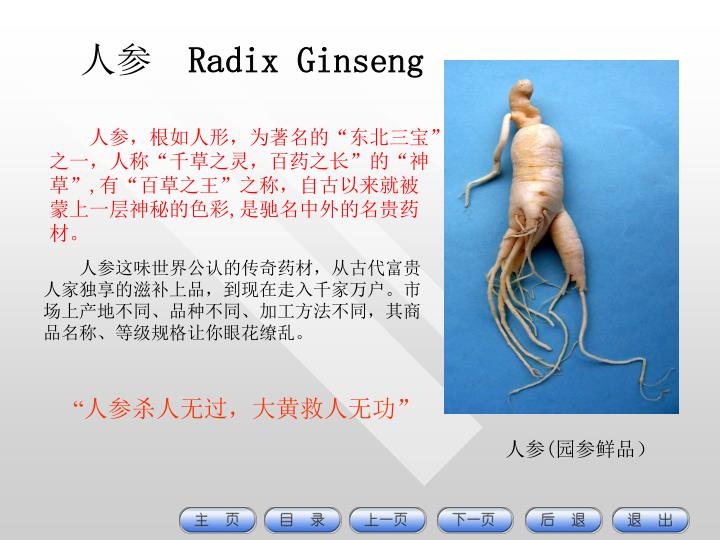radix ginseng