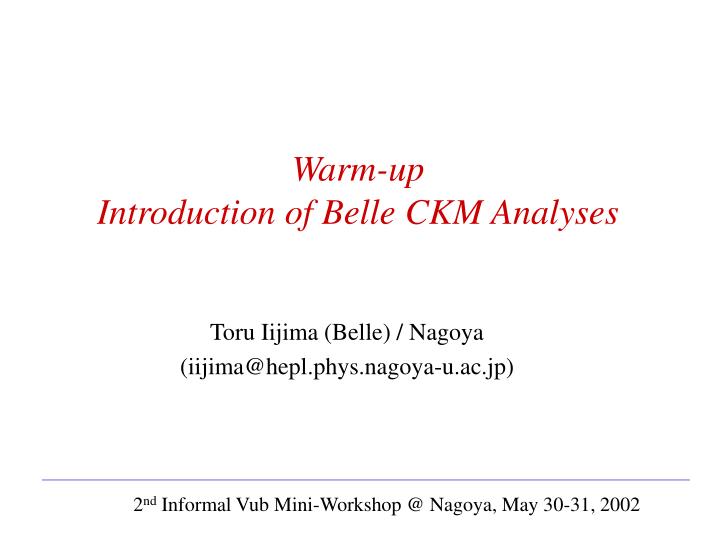 warm up introduction of belle ckm analyses