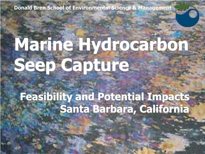 marine hydrocarbon seep capture