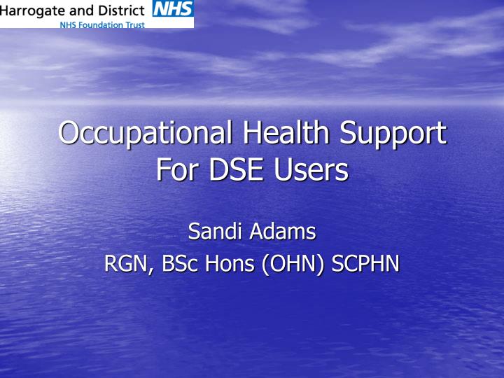 occupational health support for dse users