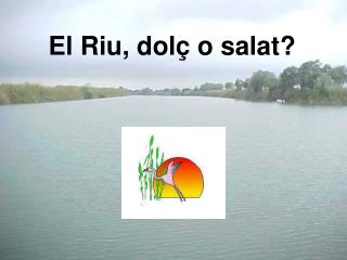 el riu dol o salat