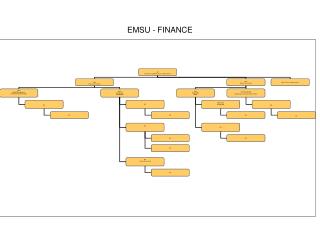 emsu finance