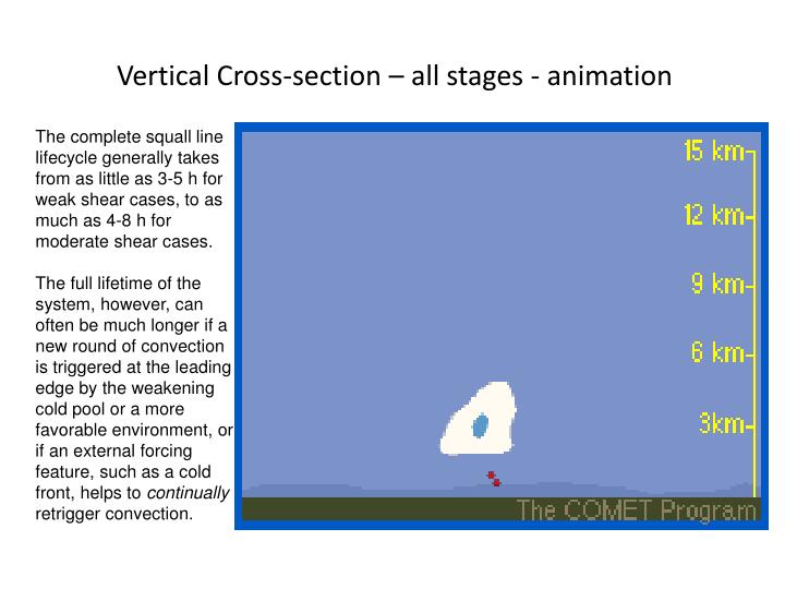 vertical cross section all stages animation
