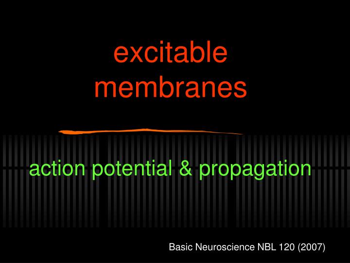 excitable membranes