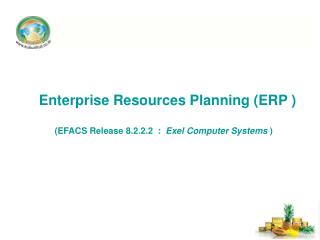 Enterprise Resources Planning (ERP )