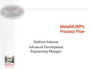MetalMUMPs Process Flow