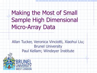 Making the Most of Small Sample High Dimensional Micro-Array Data