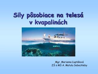 Sily pôsobiace na telesá v kvapalinách