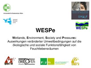 wespe