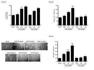 Basal gAd(0.25 ug/mL) gAd(1.0 ug/mL) gAd(3.0 ug/mL)