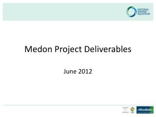 Medon Project Deliverables
