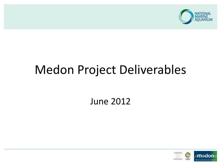 medon project deliverables