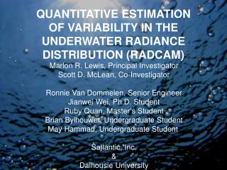 QUANTITATIVE ESTIMATION OF VARIABILITY IN THE UNDERWATER RADIANCE DISTRIBUTION (RADCAM)