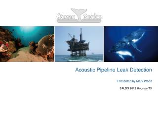 Acoustic Pipeline Leak Detection Presented by Mark Wood SALDS 2012 Houston TX