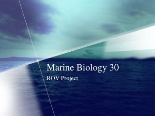 Marine Biology 30