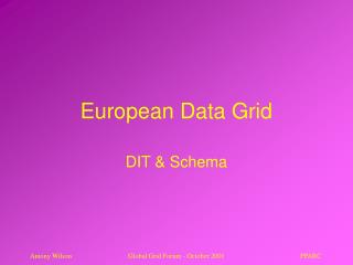 European Data Grid