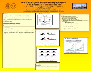 Results SNP-distribution in patients with ccRCC