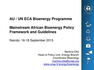 Martina Otto Head of Policy Unit, Energy Branch Coordinator Bioenergy martina.otto@unep