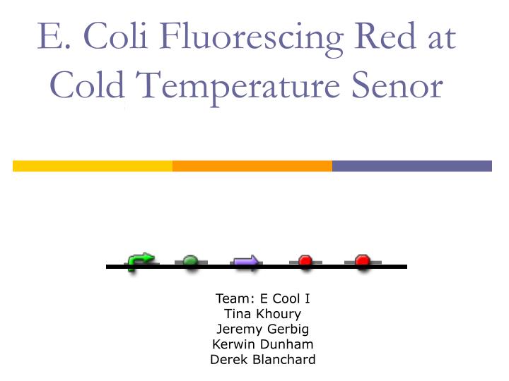 e coli fluorescing red at cold temperature senor