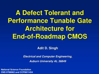 A Defect Tolerant and Performance Tunable Gate Architecture for End-of-Roadmap CMOS