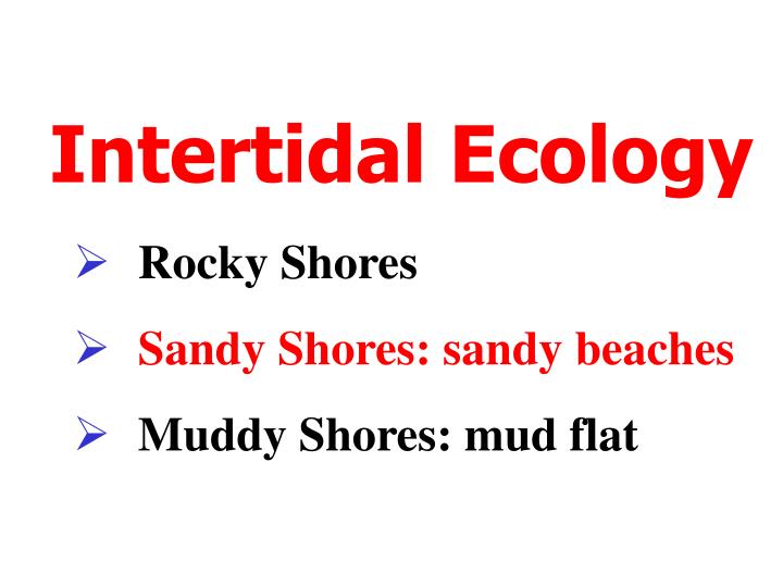 intertidal ecology