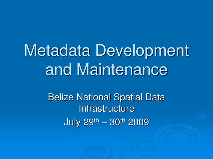 metadata development and maintenance