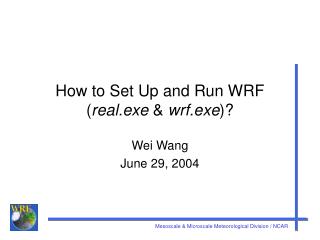 How to Set Up and Run WRF ( real.exe &amp; wrf.exe )?