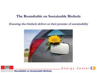 The Roundtable on Sustainable Biofuels