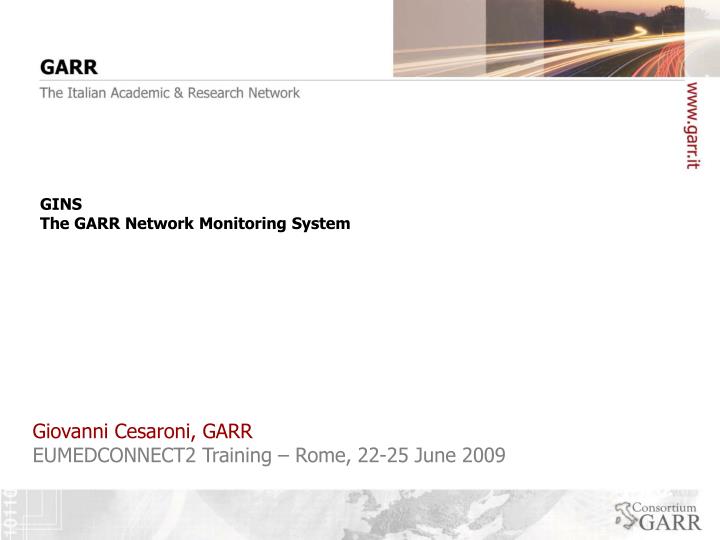 gins the garr network monitoring system