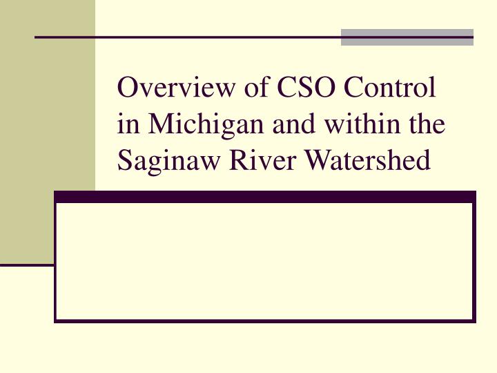 overview of cso control in michigan and within the saginaw river watershed