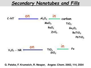 Secondary Nanotubes and Fills