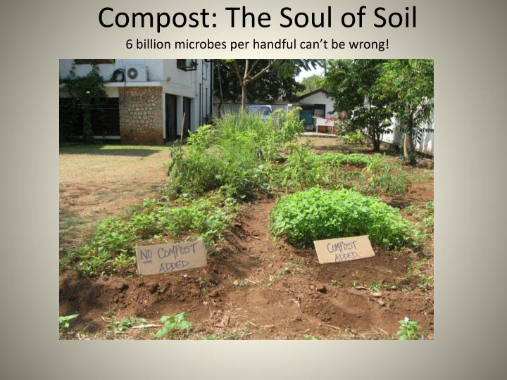 compost the soul of soil 6 billion microbes per handful can t be wrong