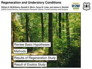 Regeneration and Understory Conditions