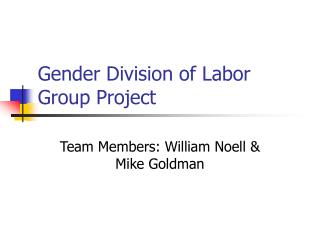 Gender Division of Labor Group Project