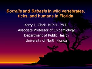Borrelia and Babesia in wild vertebrates, ticks, and humans in Florida