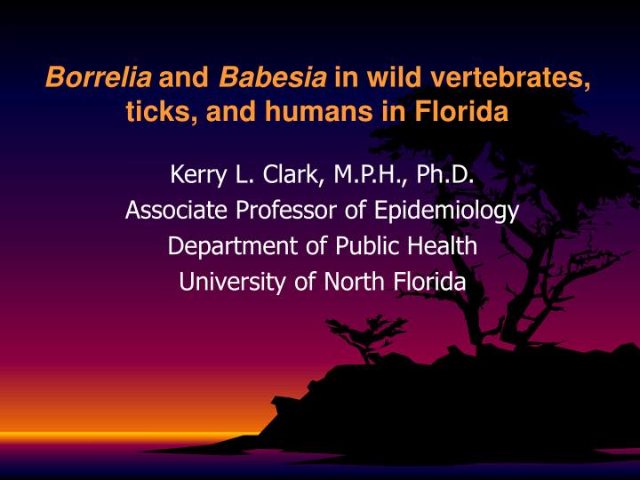 borrelia and babesia in wild vertebrates ticks and humans in florida