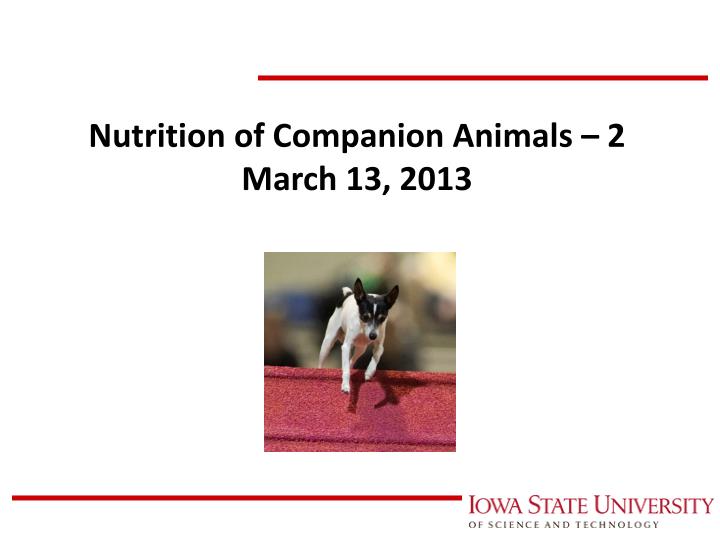 nutrition of companion animals 2 march 13 2013