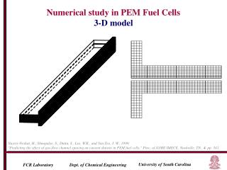 Numerical study in PEM Fuel Cells 3-D model