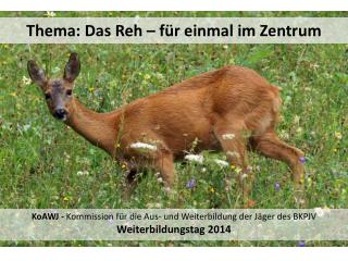 thema das reh f r einmal im zentrum