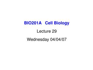 BIO201A Cell Biology Lecture 29 Wednesday 04/04/07